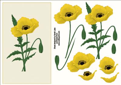 Yellow Poppy