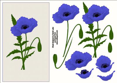 Blue Poppy