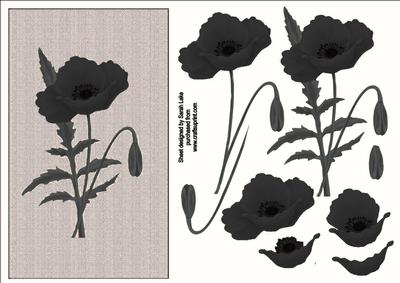 Monochromatic Poppy
