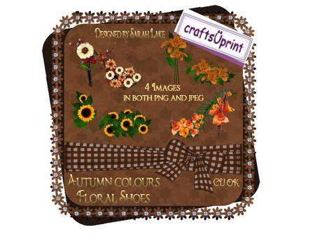 Autumn Coloured Flower Shoes