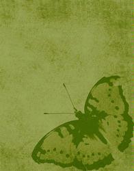 Butterfly in Green