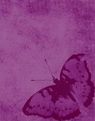 Butterfly in Fushia