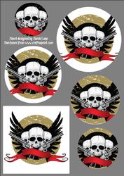 Skulls of Anarchy