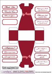 Deep Pink Sq Necked Dress Gift Bag