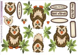 Owl