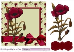 Poppy
