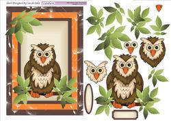 Owl