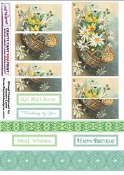 Daisies