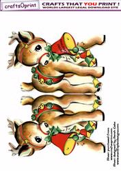 Raindeer
