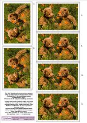 Teddies in Love