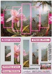Orchid and Humming Bird