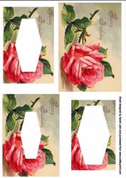 Birthday Rose