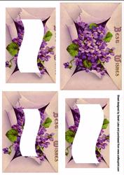 Forget Me Nots 2