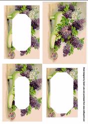 Lilacs in a Shoe