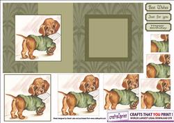 Dog Foldback No7