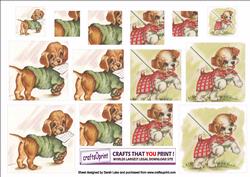 Dogs 5