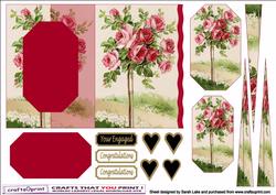 Rosebush