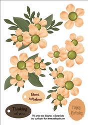 Peach Flowers
