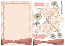 Parasol Daisy