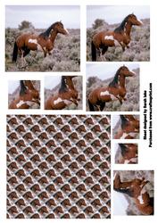 Wild Horse