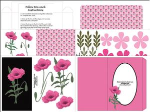 Pink Poppy