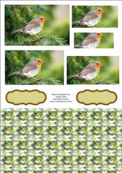 Robin Rectangle