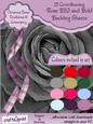 Rose Big and Bold Christmas