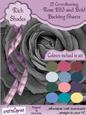 Rose Big and Bold Rich Shades