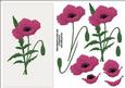 Pink Poppy