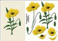 Yellow Poppy