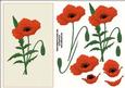 Orange Poppy