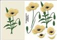 Cream Poppy