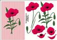 Shocking Pink Poppy
