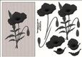 Monochromatic Poppy