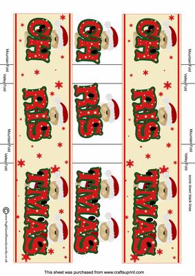 Christmas Bear Double Z Fold Long Card