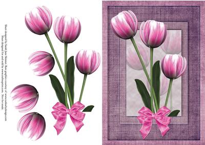 Pink Tulip A5 Card Front