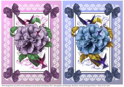 Floral Humming Bird Card Front Duo