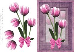 Pink Tulip A5 Card Front