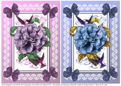 Floral Humming Bird Card Front Duo