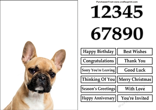 French Bulldog A5 Quick Card