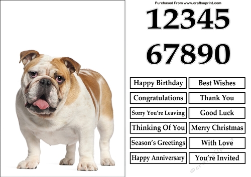 English Bulldog A5 Quick Card