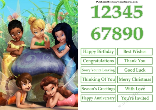 Tinkerbell and Friends A5 Quick Card
