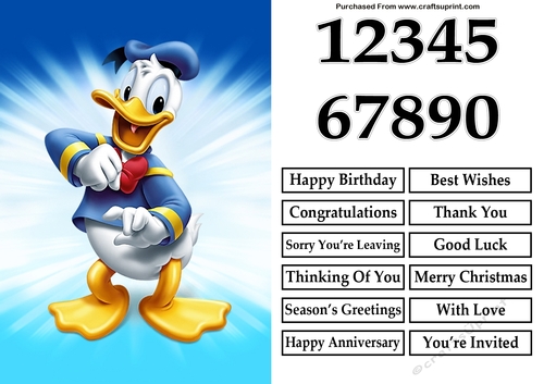 Donald Duck A5 Quick Card