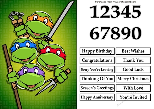 Teenage Mutant Ninja Turtles A5 Quick Card