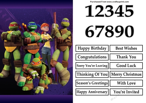 Teenage Mutant Ninja Turtles 2 A5 Quick Card
