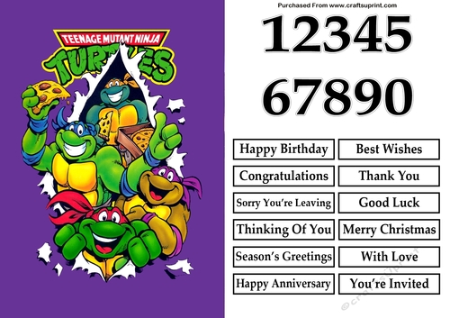 Teenage Mutant Ninja Turtles 3 A5 Quick Card