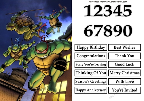 Teenage Mutant Ninja Turtles 4 A5 Quick Card
