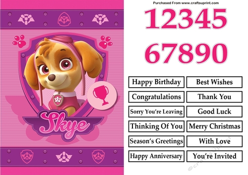 Paw Patrol Skye Birthday A5 Decoupage