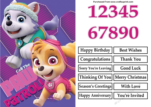 Paw Patrol Skye and Everest Birthday A5 Decoupage