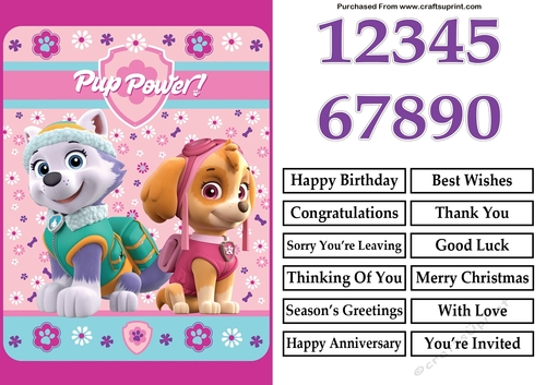 Paw Patrol Skye and Everest Pup Power Birthday A5 Decoupage